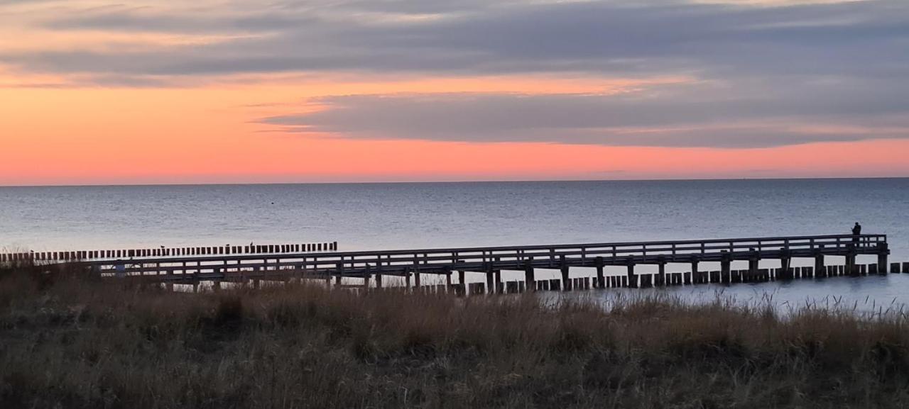 Haus Nadine Lägenhet Zingst Exteriör bild
