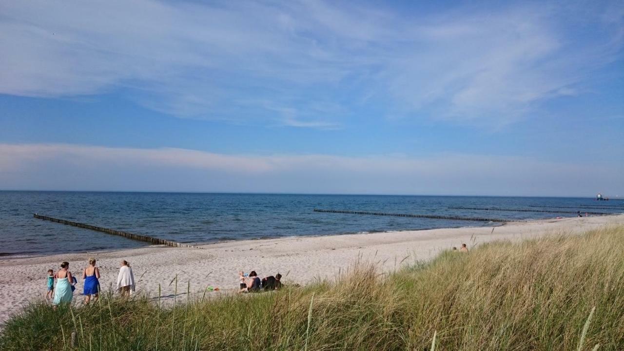 Haus Nadine Lägenhet Zingst Exteriör bild